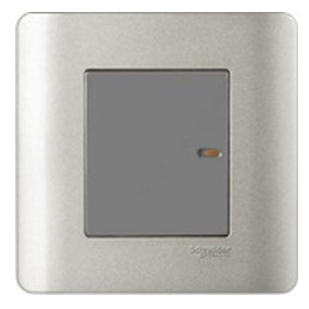 Zencelo màu xám Schneider